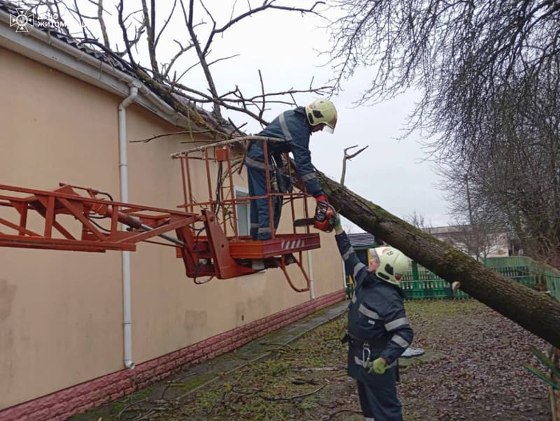 Внаслідок негоди у Коростенському районі дерево впало на дах дитсадка та знеструмлені кілька населених пунктів