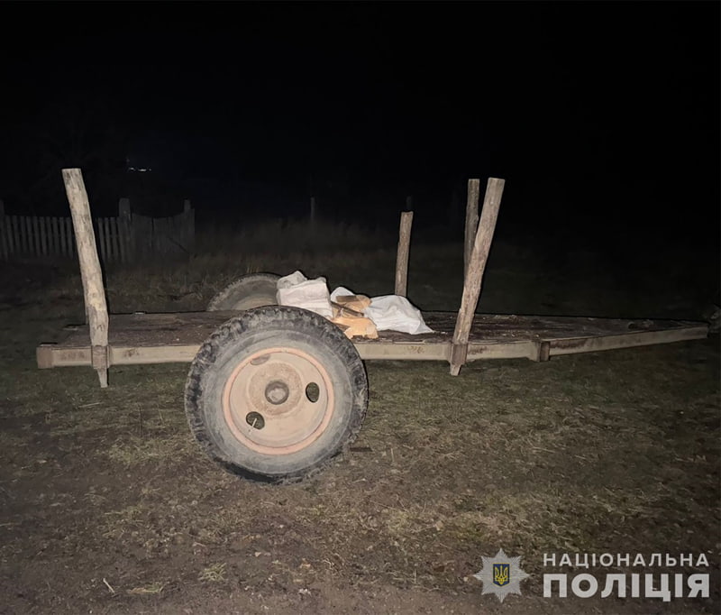 Випав з саморобного причепа трактора і загинув на піщаній дорозі: що відомо про аварію на Малинщині