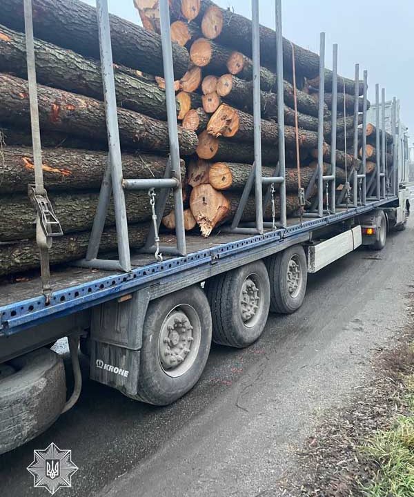 На Житомирщині виявлено сім випадків незаконного перевезення деревини за тиждень