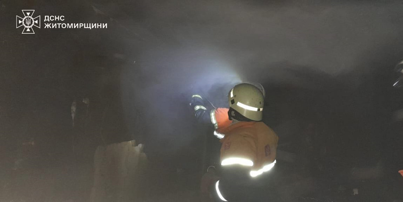 В селі Овруцької громади горів гараж з автівкою всередині