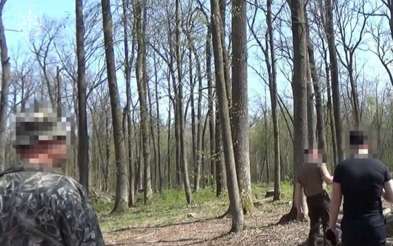 На Житомирщині два інженери отримали підозри через спробу вкрасти деревину на майже 4,5 млн грн