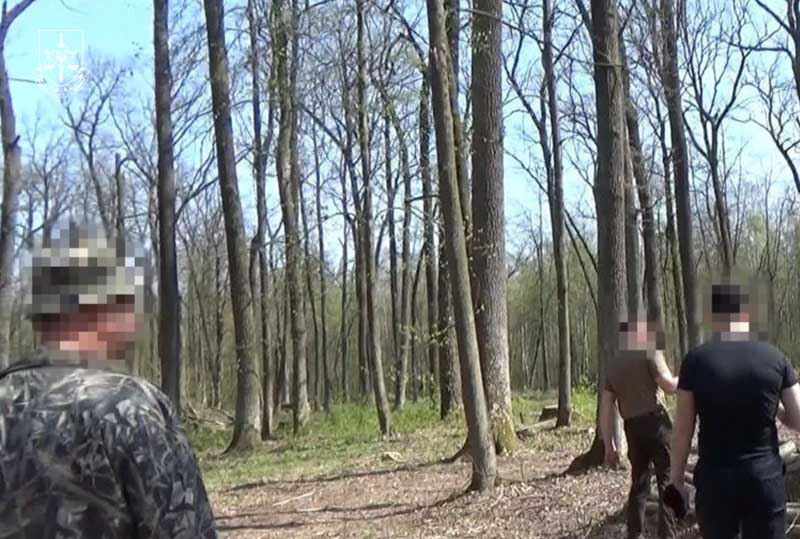 На Житомирщині два інженери отримали підозри через спробу вкрасти деревину на майже 4,5 млн грн
