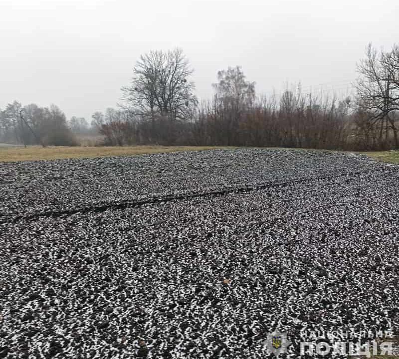 Замерзав у полі: на Житомирщині протягом всієї ночі шукали 21-річного хлопця з інвалідністю