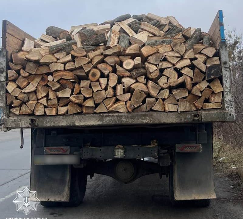 На трасі в Коростенському районі патрульні зупинили вантажівку з деревиною, водій не надав належних документів на вантаж