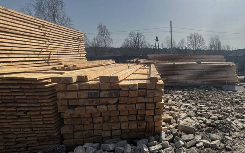 Двох жителів Олевського району та майстра лісу судитимуть за незаконну вирубку дерев