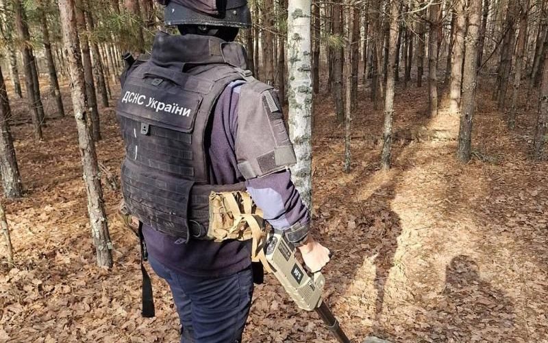 Біля Малина місцевий житель виявив боєприпас