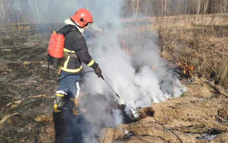 У селі поблизу Коростеня чоловік випалював стерню: вогонь охопив поле