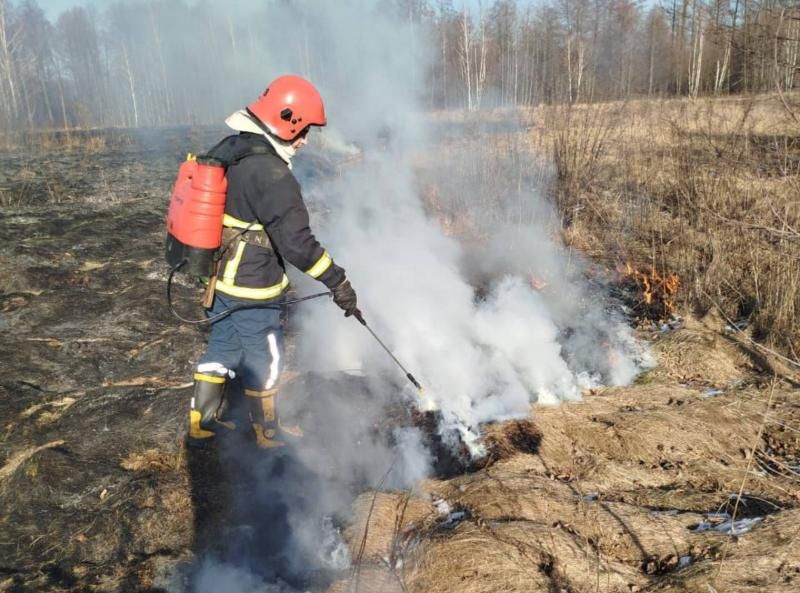 У селі поблизу Коростеня чоловік випалював стерню: вогонь охопив поле
