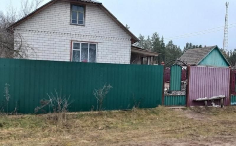 У селі неподалік Коростеня брат трубою до смерті забив сестру: їх мати розповідала, що доньку збила машина