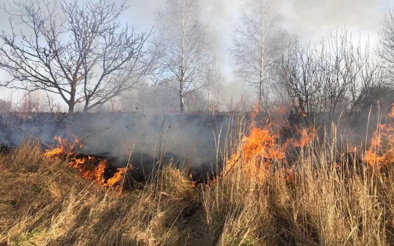 На відкритій території у Малині рятувальники ліквідовували займання сухої трави