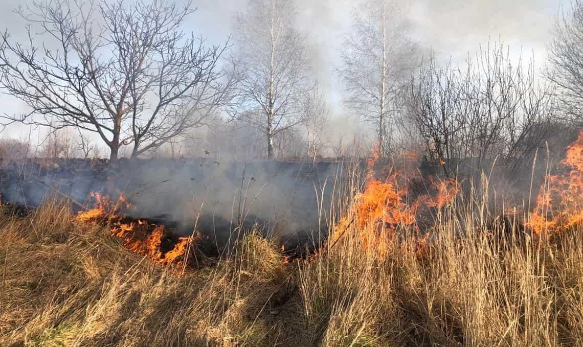 На відкритій території у Малині рятувальники ліквідовували займання сухої трави