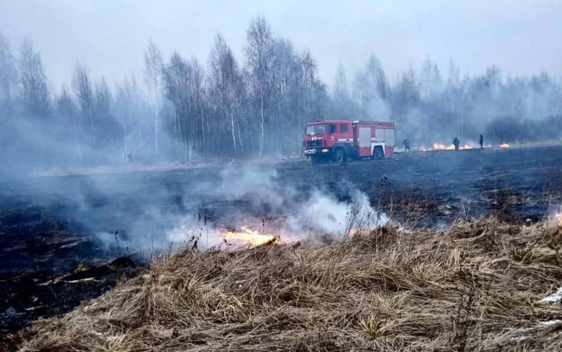 Антирейтинг Житомирщини – у п’ятірці областей, де від початку року сталося найбільше пожеж в екосистемах