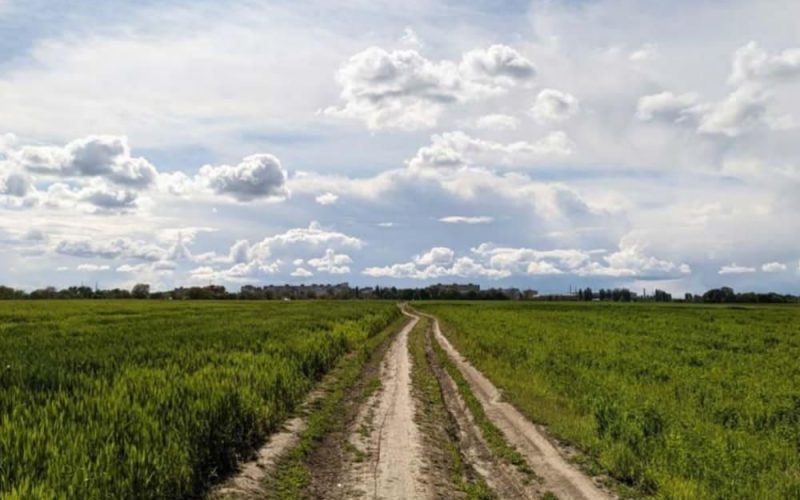 Не поділив польову дорогу: на Малинщині учасник АТО дерев’яною палицею “відправив” до реанімації односельчанина