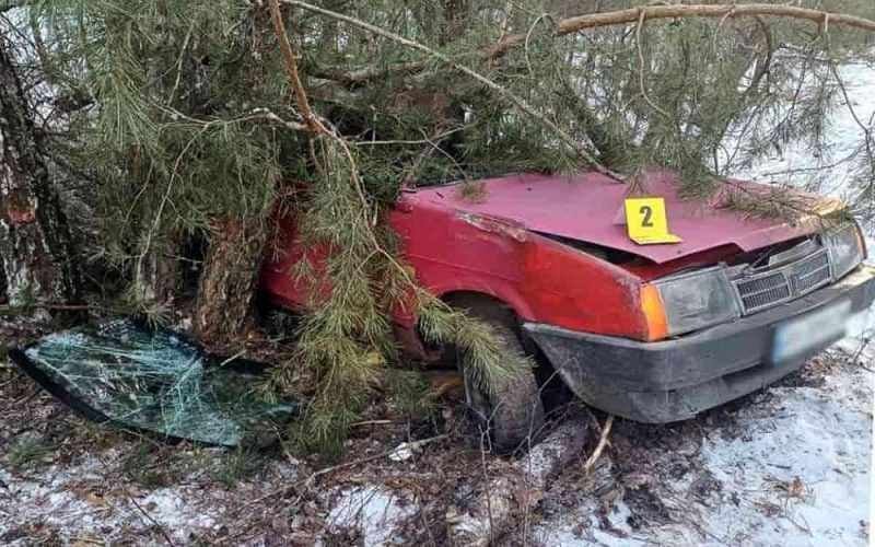 На автодорозі в Коростенському районі п’яний водій спричинив смертельну ДТП