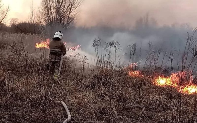 Минулої доби найбільше займань сухостою сталося в Коростенському та Житомирському районі