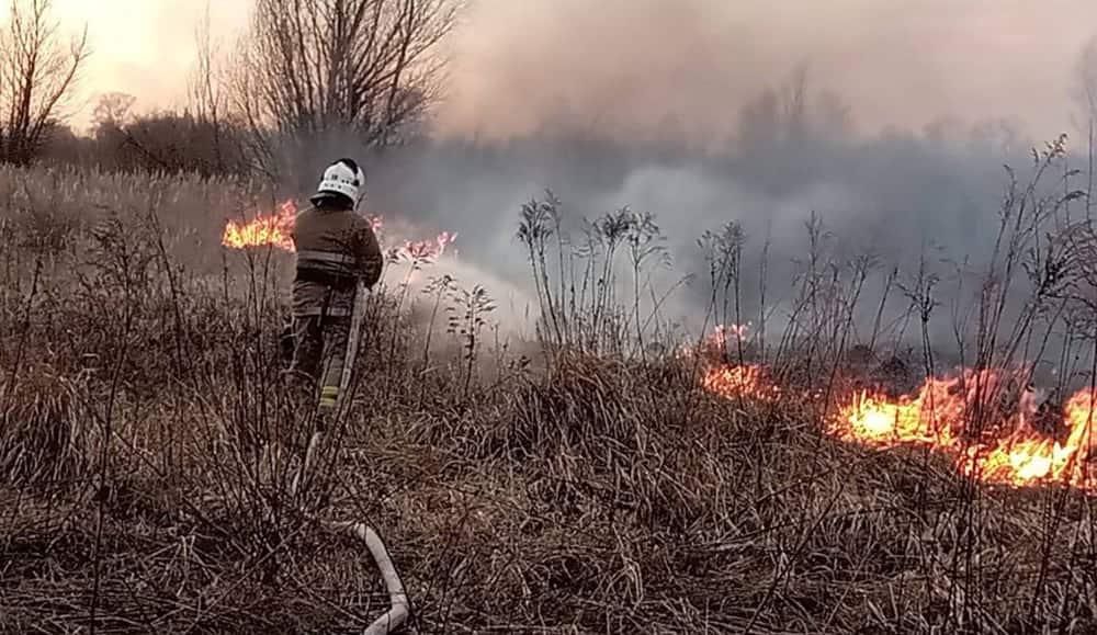 Минулої доби найбільше займань сухостою сталося в Коростенському та Житомирському районі