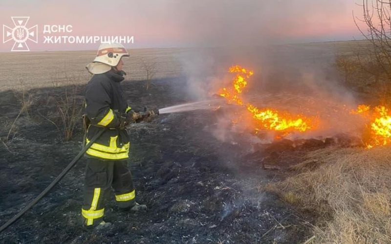 У селі Коростенського району горіла суха трава: вогонь розповсюдився на дві господарчі будівлі