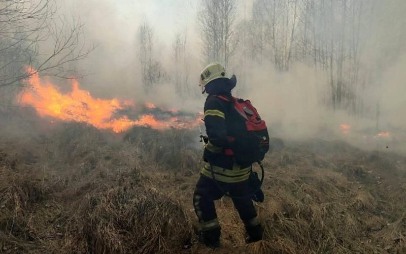В Овручі через велику кількість пожеж в екосистемі збирається комісія з надзвичайних ситуацій