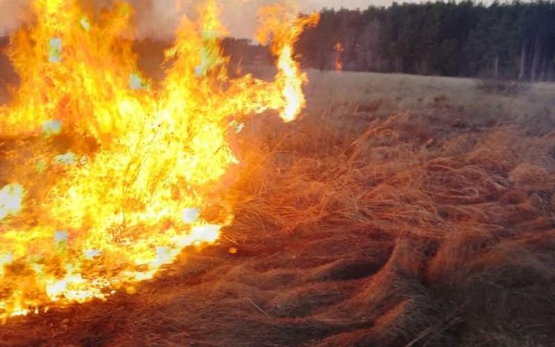 У Коростені за день рятувальники понад 20 разів виїжджали на гасіння сухої трави