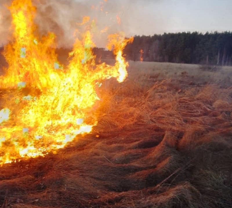 У Коростені за день рятувальники понад 20 разів виїжджали на гасіння сухої трави