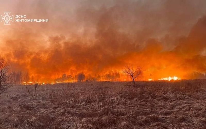 У селі Коростенського району рятувальники 5 годин ліквідовували палаючий сухостій