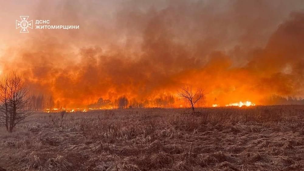У селі Коростенського району рятувальники 5 годин ліквідовували палаючий сухостій