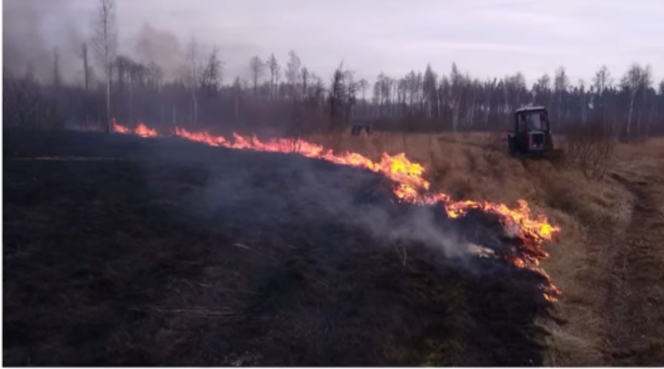 На Овруччині виявили декілька паліїв сухої рослинності, яких притягнули до адміністративної відповідальності