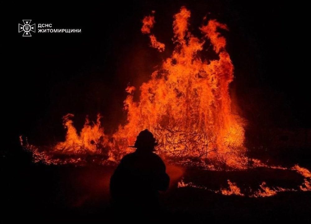 П’ять днів поспіль у Житомирській області рятувальники фіксують та ліквідовують пожежі в екосистемі