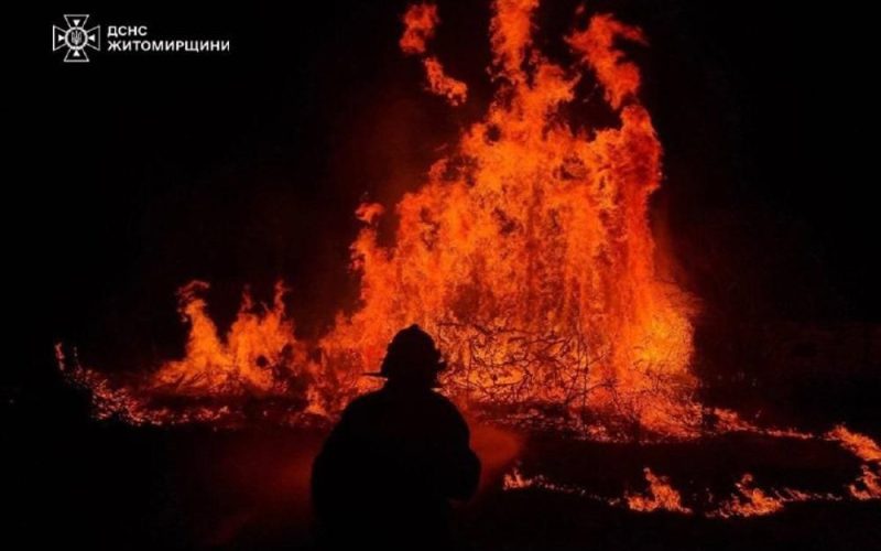 П’ять днів поспіль у Житомирській області рятувальники фіксують та ліквідовують пожежі в екосистемі