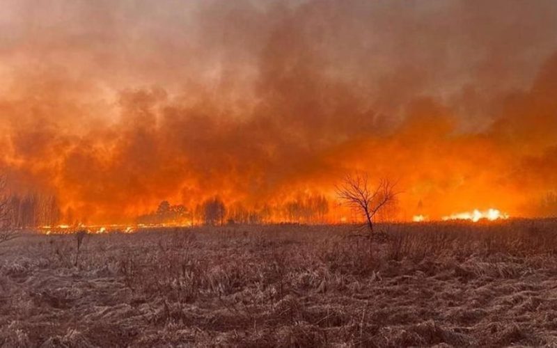 Через масові підпали сухостою на Житомирщині повітря стало токсичним: які штрафи загрожують паліям
