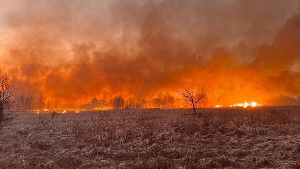 Через масові підпали сухостою на Житомирщині повітря стало токсичним: які штрафи загрожують паліям