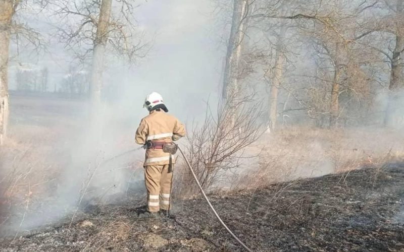 У селі на Коростенщині рятувальники 5 годин боролися з вогнем: горів сухостій