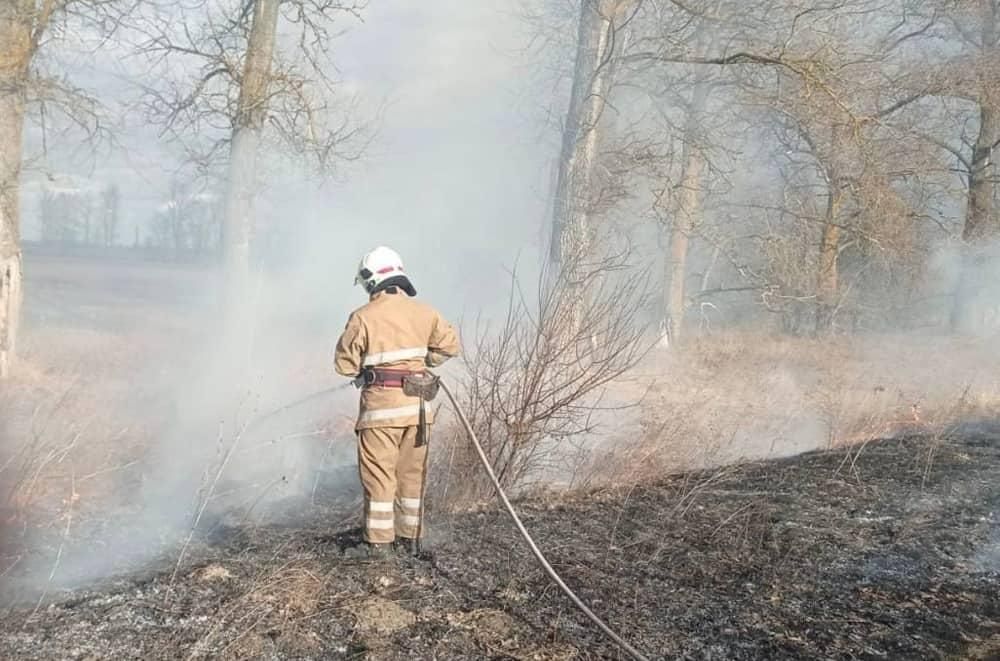 У селі на Коростенщині рятувальники 5 годин боролися з вогнем: горів сухостій