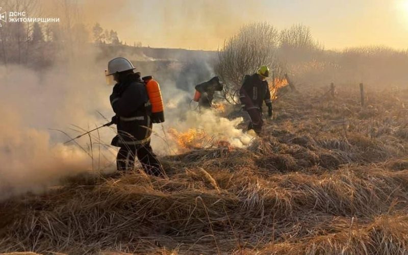 Минулої доби сталося близько 70 пожеж: найбільше загоряння сталося в Коростенському та Житомирському районах