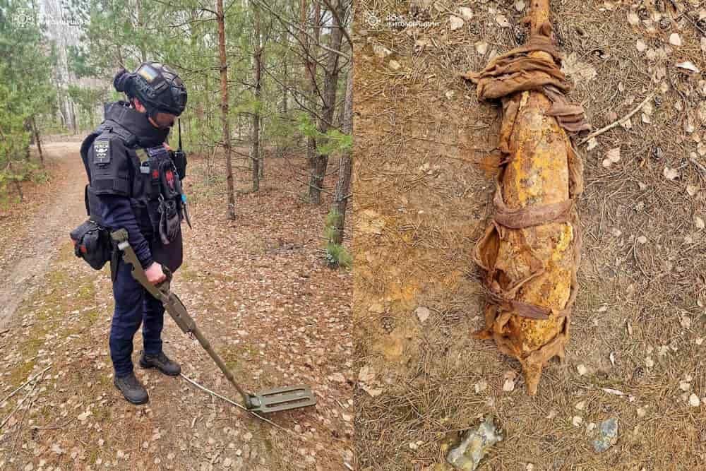 У полі неподалік Коростеня знайшли мінометну міну