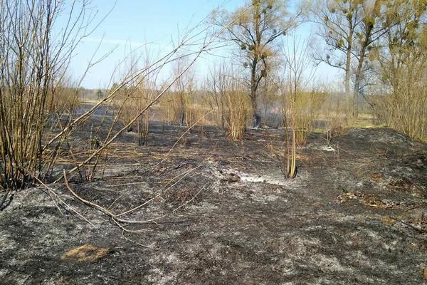За чотири дні у Лугинській громаді вигоріло понад 15 гектарів