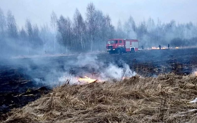 Вогнеборці спільно з селянами ліквідовували займання сухостою в Коростенському районі
