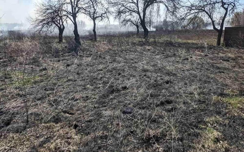 У селі на Овруччині рятувальники «зловили» палійку, яка самостійно не змогла приборкати вогонь