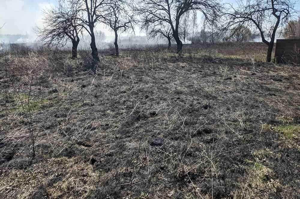 У селі на Овруччині рятувальники «зловили» палійку, яка самостійно не змогла приборкати вогонь