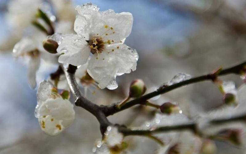 У Житомирській області очікуються зміни в погоді
