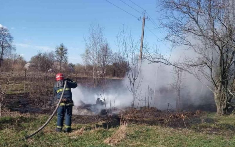 У Коростені рятувальники ліквідовували займання очерету та сухої трави неподалік АЗС
