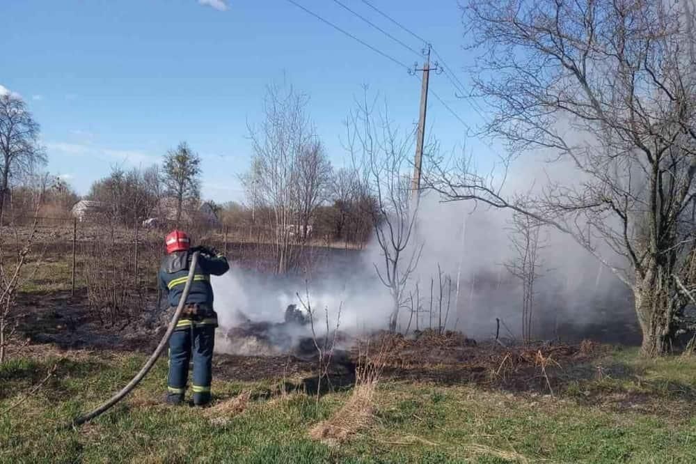 У Коростені рятувальники ліквідовували займання очерету та сухої трави неподалік АЗС