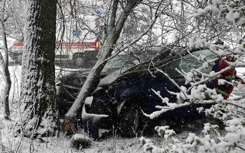 На автодорозі в Житомирській області водій на Dacia врізався в дерево: загинула пасажирка