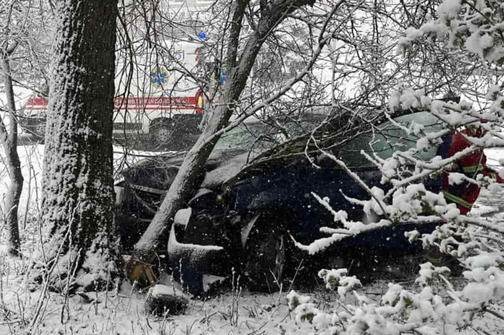 На автодорозі в Житомирській області водій на Dacia врізався в дерево: загинула пасажирка