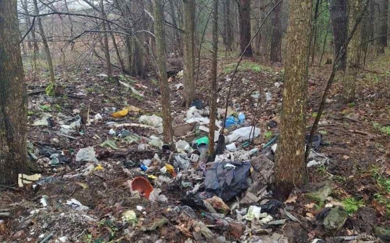 На території лісового фонду в Коростенському районі виявили стихійне сміттєзвалище: екологи надіслали лист до РДА