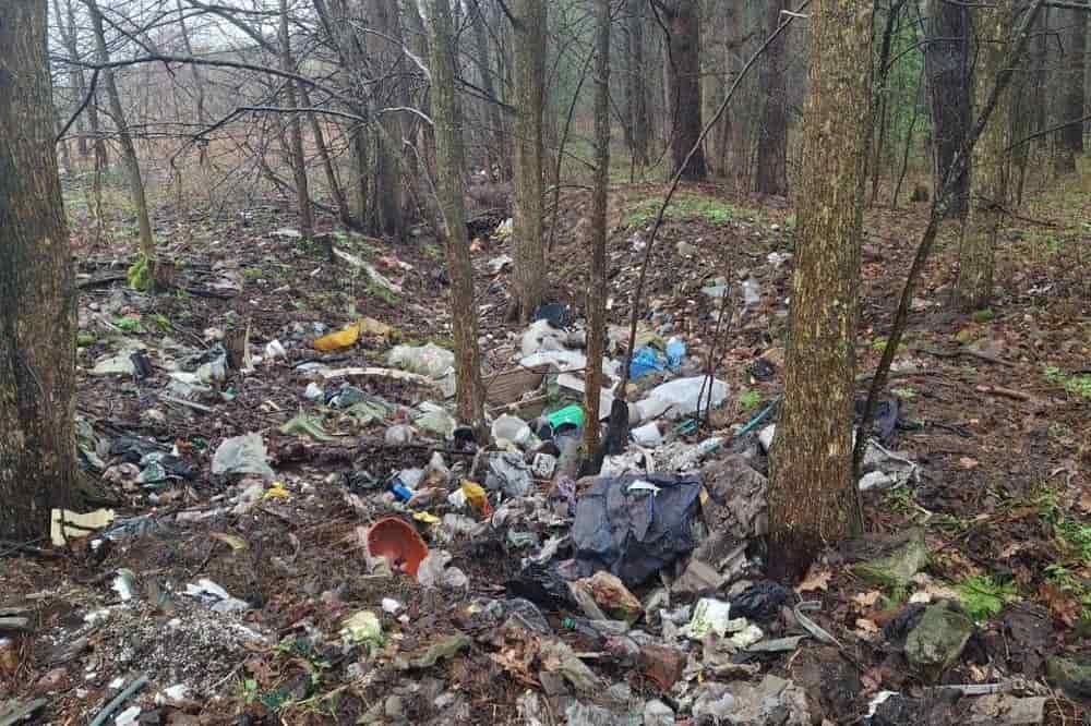 На території лісового фонду в Коростенському районі виявили стихійне сміттєзвалище: екологи надіслали лист до РДА