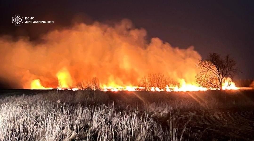 У Коростенському районі за добу ліквідували 4 загоряння трави, в одному з сіл вигоріли майже 3 га території