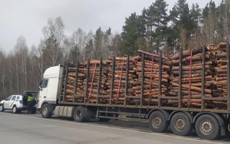 Нелегальний ліс: на Житомирщині за тиждень зафіксували вісім випадків незаконного перевезення деревини