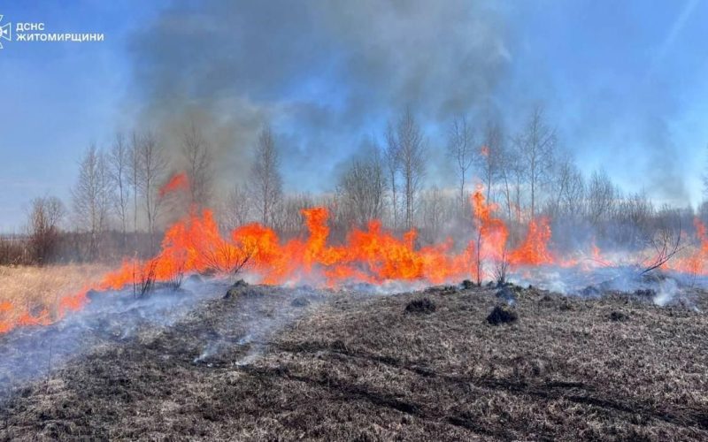 За добу на Житомирщині вигоріли пів сотні гектарів територій, у Коростенському районі горить торф та трава