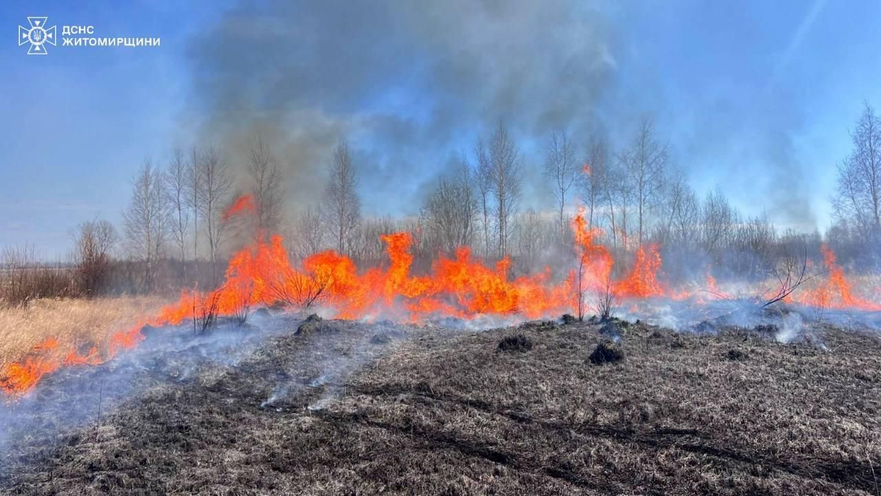 За добу на Житомирщині вигоріли пів сотні гектарів територій, у Коростенському районі горить торф та трава